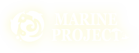 Marine project